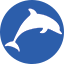 Dolphins Dolphins