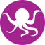 Octopus Octopus
