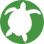 Turtles Turtles